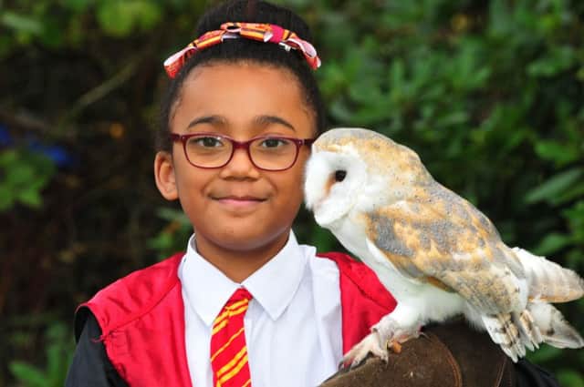 Photo: David Hurst
8 year old Tamia Charles of Ingol with her barn owl from Lancashire Hawks and Owls, at the Harry Potter Family Fun Day in aid of The Christie held at Heskin Hall, Eccleston,