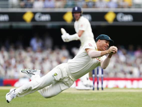 Warner takes a spectacular catch to dismiss Ball