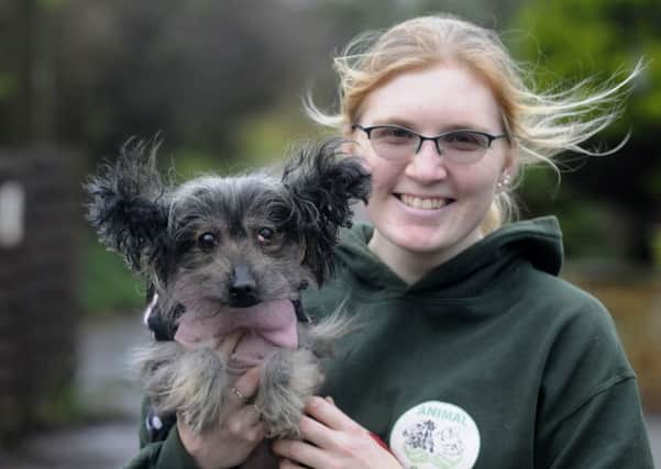 Staff, volunteers and animals at Animal Care in Lancaster.  Dog trainer Kathryn Jones with Holly.