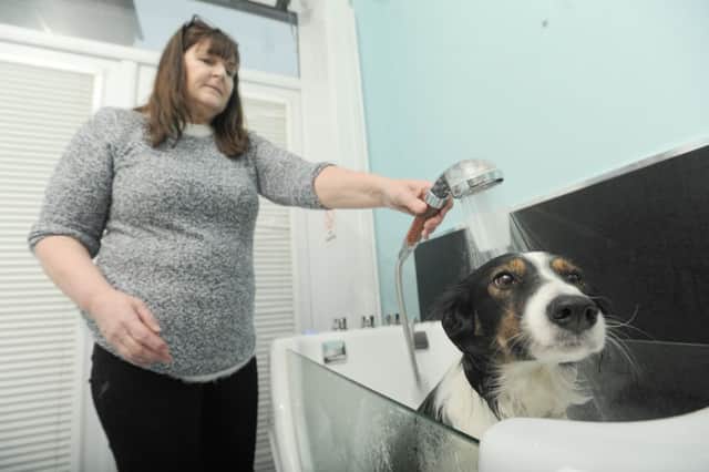 Corinne Hanby from Hanby's Dog Grooming is offering dog washing one a month for charity.  She is pictured with Abby.