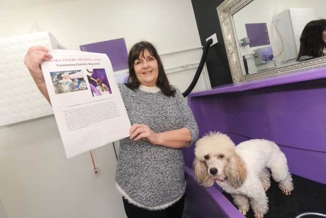 Corinne Hanby from Hanby's Dog Grooming is offering dog washing one a month for charity.  She is pictured with Molly.