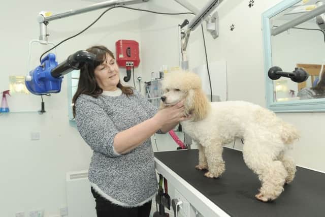 Corinne Hanby from Hanby's Dog Grooming is offering dog washing one a month for charity.  She is pictured with Molly.