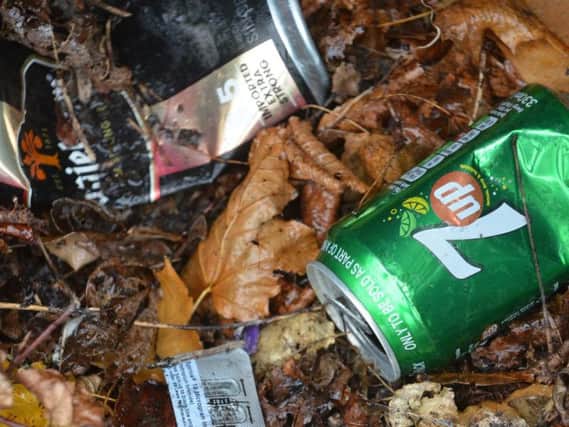 Is there too much litter on our streets?