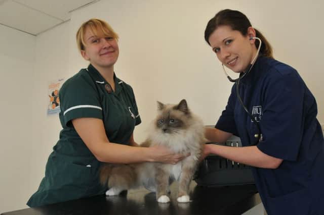 Staff Natalie Bowness, left, and Sarah Buck, right, at Myerscough Vets, Dunkirk Lane, Leyland.