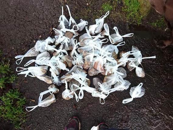 The dog walker discovered 71 bags of dog mess on her country walk
