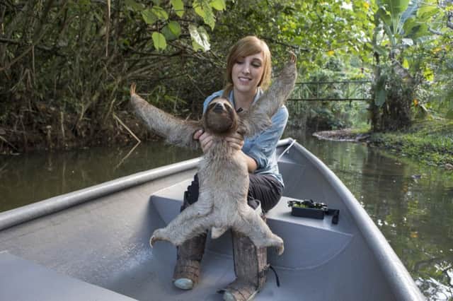 Rebecca Cliffe, sloth biologist, holding sloth wearing sloth backpack while traveling in boat to release site at Aviarios Sloth Sanctuary, Costa Rica