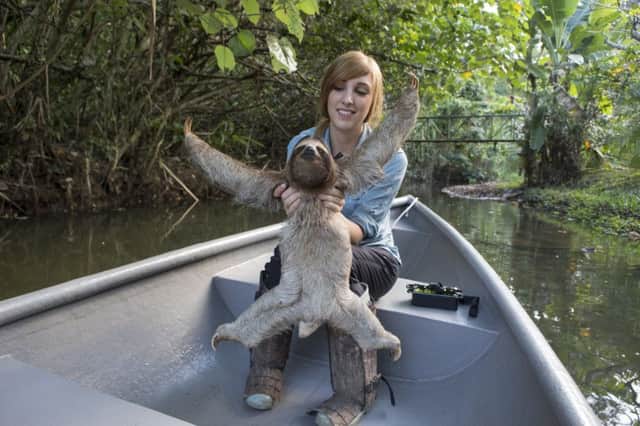 Rebecca Cliffe, sloth biologist, holding sloth wearing sloth backpack while traveling in boat to release site  at Aviarios Sloth Sanctuary, Costa Rica