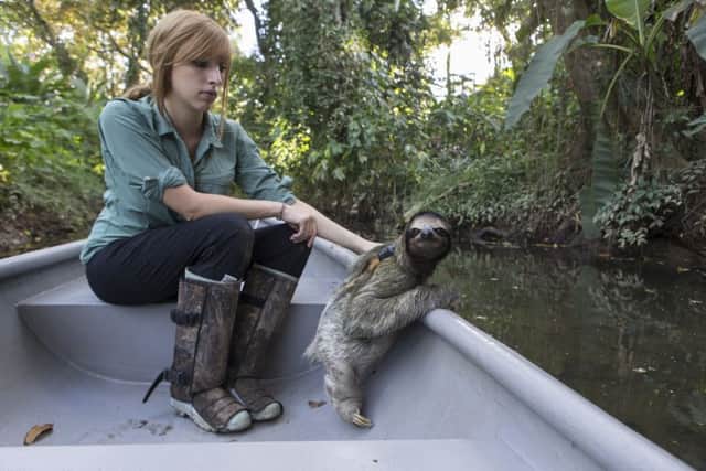 Rebecca Cliffe, sloth biologist, with sloth wearing "sloth backpack" riding in boat to release site at Aviarios Sloth Sanctuary, Costa Rica