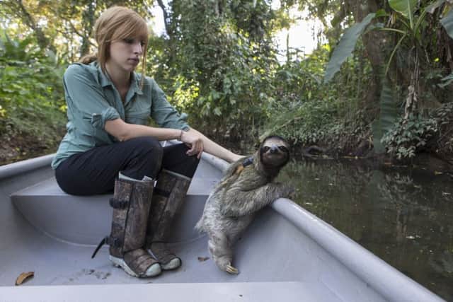 Rebecca Cliffe, sloth biologist, with sloth wearing "sloth backpack" riding in boat to release site at  Aviarios Sloth Sanctuary, Costa Rica