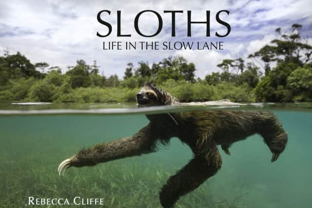 Sloths: Life in the Slow Lane by Rebecca Cliffe and Suzi Eszterhas