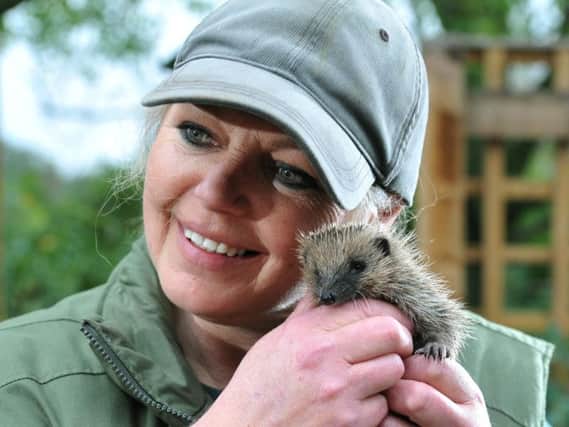 Janette Jones of Chorley Hedgehog Rescue Centre