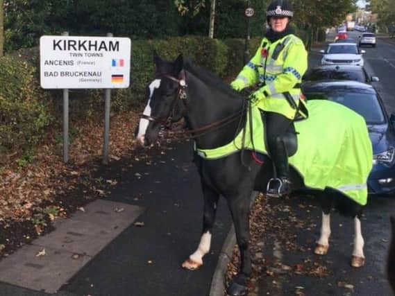 Police horse Kirkham has died. Photo: Lancashire Mounted Unit