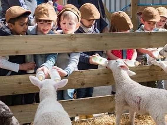 There's lots to do down on the farm with Lambing Live at Mrs Dowsons
