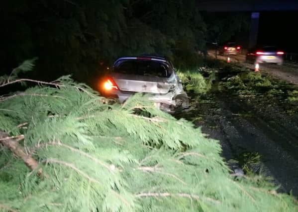 A tree has fallen on the M6 southbound. Photo: Lancs Road Police