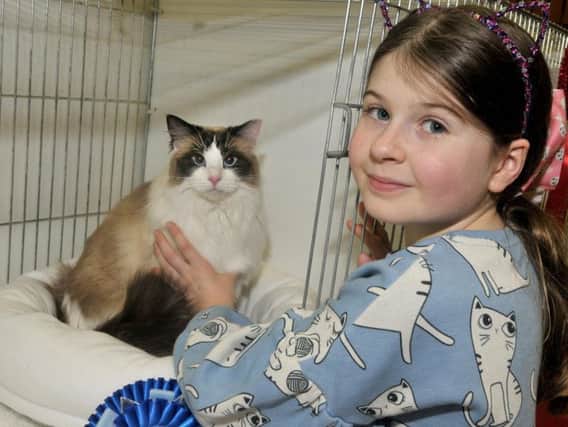 Nine-year-old Katie Bonner from Appley Bridge visited the Lancashire Cat Show at Robin Park Sports and Tennis Centre and met 'Bella Dizzipaws'