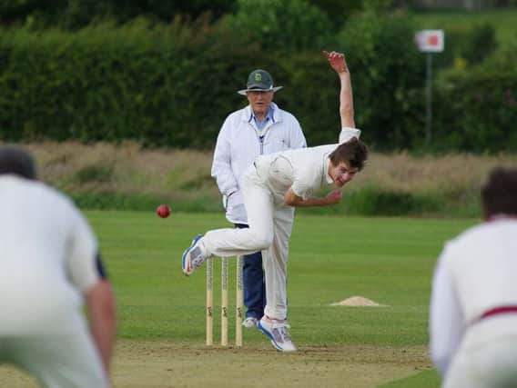 Cricket