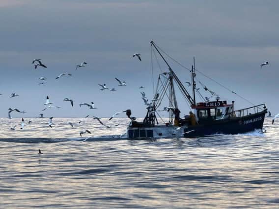 We need time to re-establish fishing policies says a correspondent