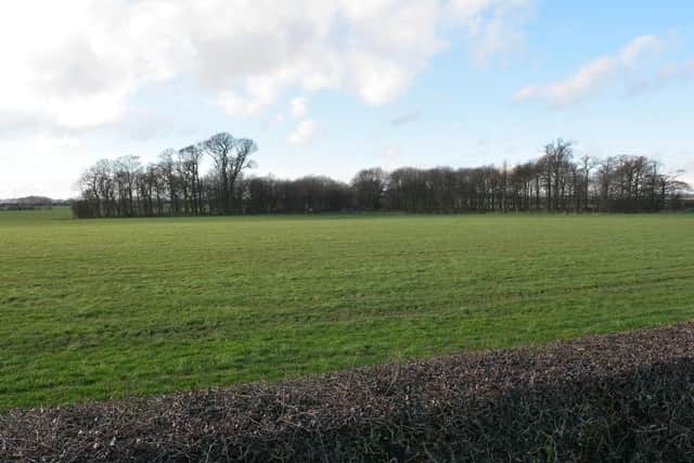 Shale gas firm Cuadrilla wants to drill at Roseacre Wood