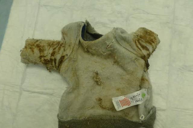One of dogs found wearing baby jumper that had stuck to her weeping skin