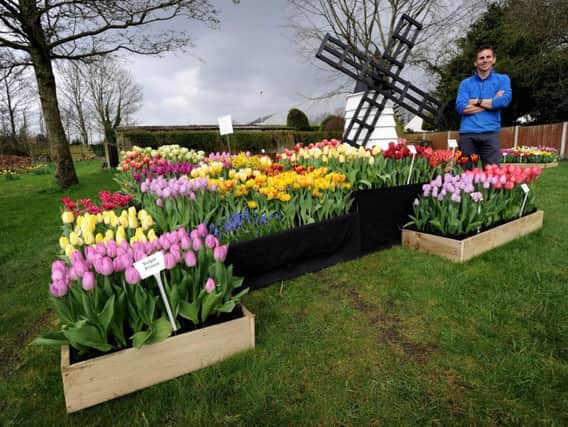 Matthew Smith in his specially created tulip garden