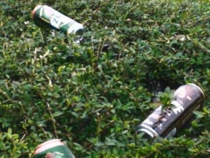 Beer cans left in hedgerows near to the shop on New Hall Lane