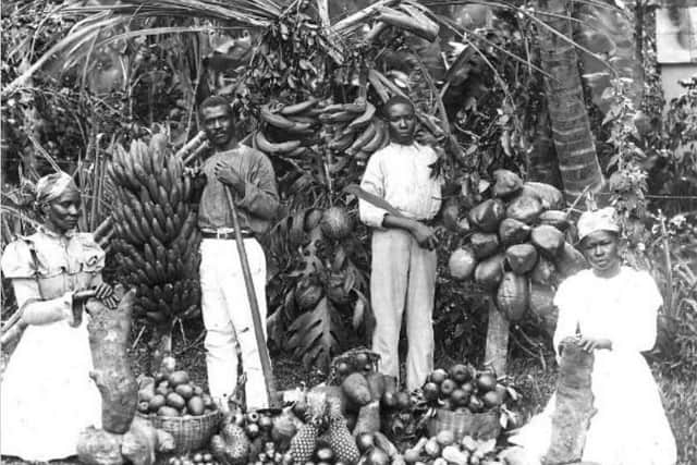 Photo of Jamaica in 1903 by traveller and photographer Edward Mellor