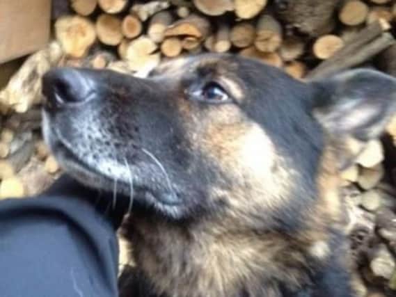 PD Sirius. Picture from Lancs police