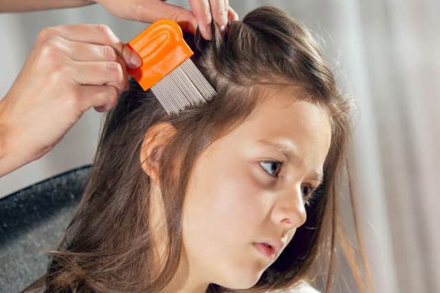 Using a comb to look for head lice
