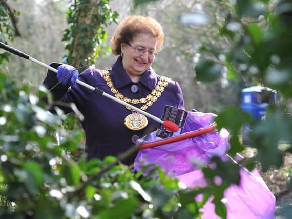 Former Mayor Mary Green could carry out a clean sweep of council roles