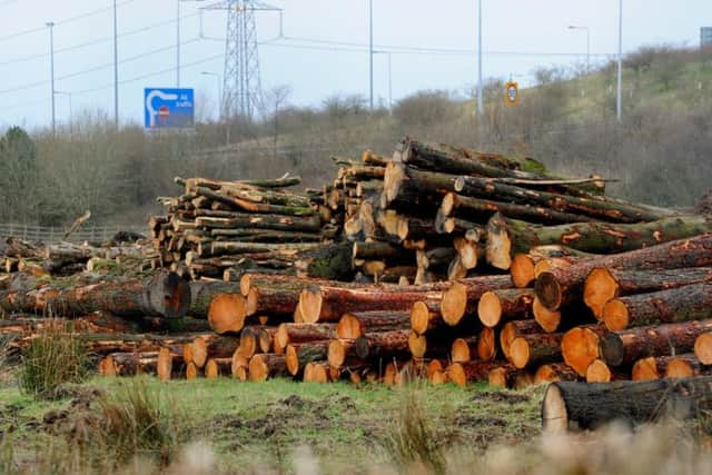 Many trees have been felled to make way for the development