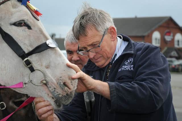 Vet John Gilliver from Gillivervet examines Popeye the beach donkey