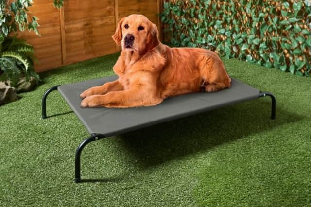 B&M are selling a sun dog lounger (Photo: B&M)