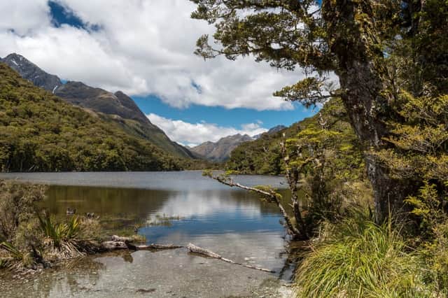 A landslide hit the Howden Hut, near Fiorland’s Lake Howden on Monday (3 Feb) leaving more than 30 people stranded (Photo: Shutterstock)